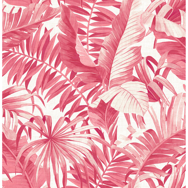 media image for Alfresco Tropical Palm Wallpaper in Pink from the Pacifica Collection by Brewster Home Fashions 287