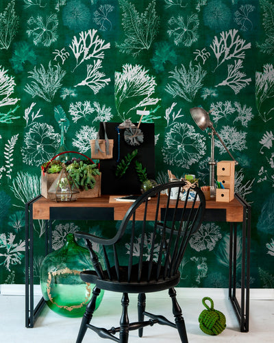 product image for Algae Wallpaper in Moss from the Atoll Collection by Mind the Gap 43