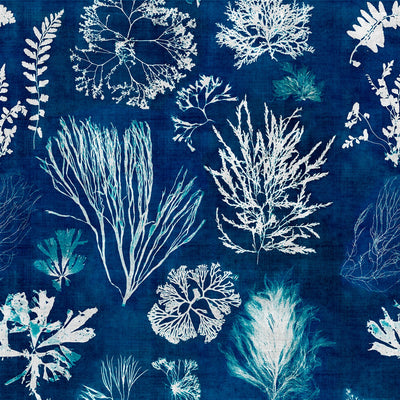 product image for Algae Wallpaper in Navy Blue from the Atoll Collection by Mind the Gap 26