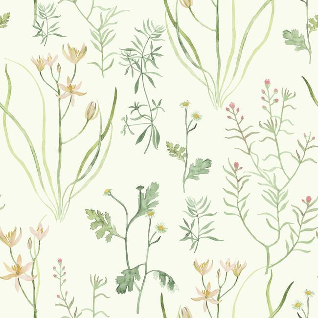 media image for sample alpine botanical wallpaper in ivory and green from the norlander collection by york wallcoverings 1 274