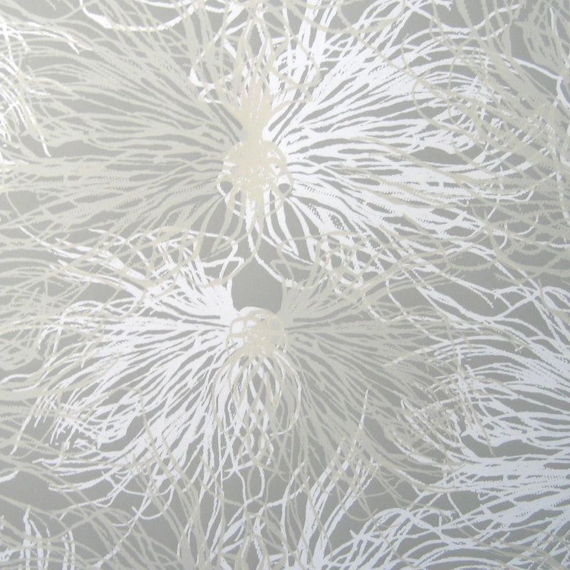 media image for anemone wallpaper in wet stone design by jill malek 1 264