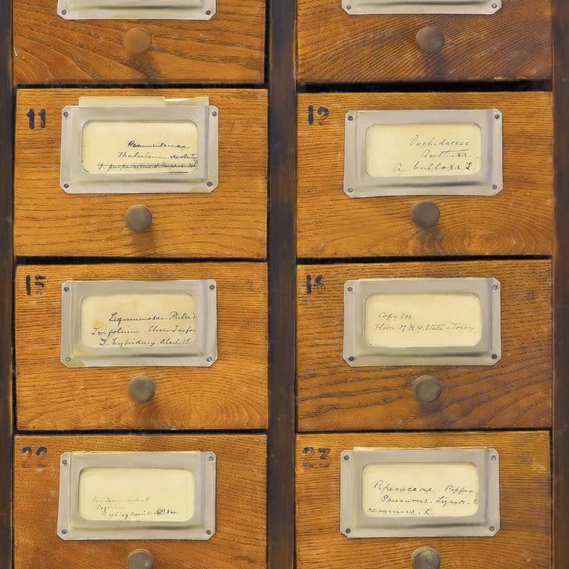 media image for sample apothecary wallpaper from collection ii by mind the gap 1 254