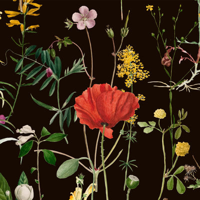 product image of sample aquafleur anthracite wallpaper from collection ii by mind the gap 1 563