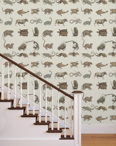 product image for Ark of Seba Wallpaper in Grey and Taupe from the Eclectic Collection by Mind the Gap 59