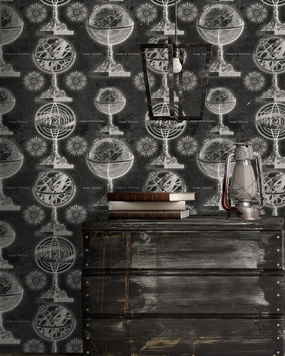 product image for Armillary Wallpaper in Anthracite from the Eclectic Collection by Mind the Gap 77
