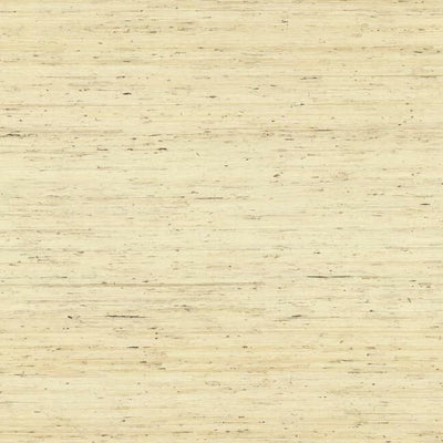 product image of sample arrowroot grasscloth wallpaper in cream from the waters edge collection by york wallcoverings 1 534