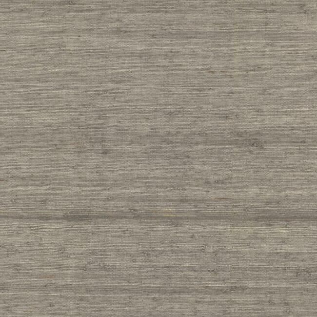 media image for Arrowroot Grasscloth Wallpaper in Driftwood from the Water& 221
