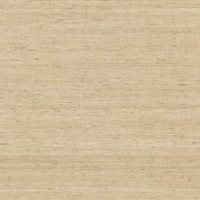 media image for Arrowroot Grasscloth Wallpaper in Sand from the Water& 240