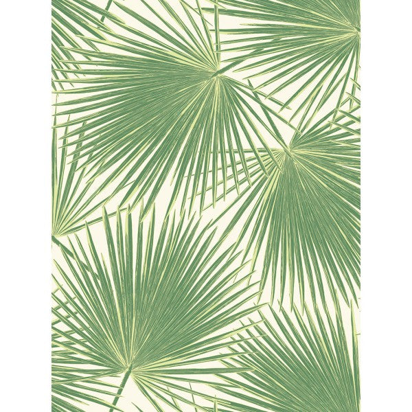 media image for sample aruba wallpaper in green from the tortuga collection by seabrook wallcoverings 1 299