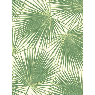 product image for Aruba Wallpaper in Green from the Tortuga Collection by Seabrook Wallcoverings 99
