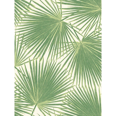 product image of Aruba Wallpaper in Green from the Tortuga Collection by Seabrook Wallcoverings 581