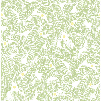 product image of Athina Fern Wallpaper in Sage from the Pacifica Collection by Brewster Home Fashions 575
