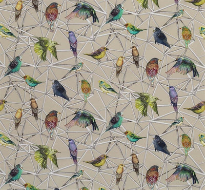 product image for Aviary Fabric in Multi from the Enchanted Gardens Collection by Osborne & Little 44