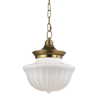 product image of Dutchess 1 Light Medium Pendant by Hudson Valley Lighting 589
