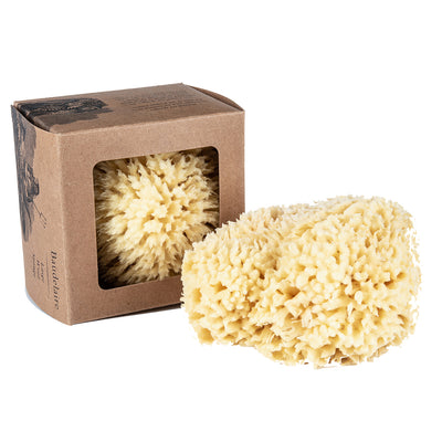 product image for wool bath sponges 3 53