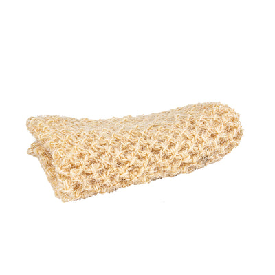 product image of horsehair wash mitt 1 542