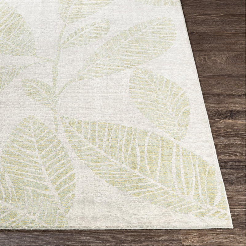 media image for Bodrum BDM-2320 Indoor/Outdoor Rug in Grass Green & Taupe by Surya 280