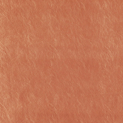 product image of Beauty Fabric in Orange/Rust 515