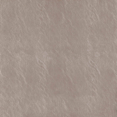 product image of Beauty Fabric in Taupe 577