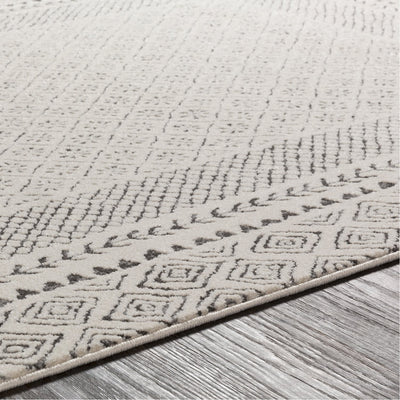 product image for Bahar BHR-2321 Rug in Medium Gray & Beige by Surya 64