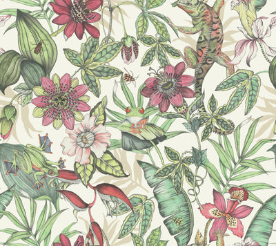 product image of sample rainforest wallpaper in white soft multi from the blooms second edition resource library 1 544