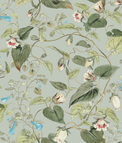 product image for Moon Flower Wallpaper in Dove from the Blooms Second Edition 84
