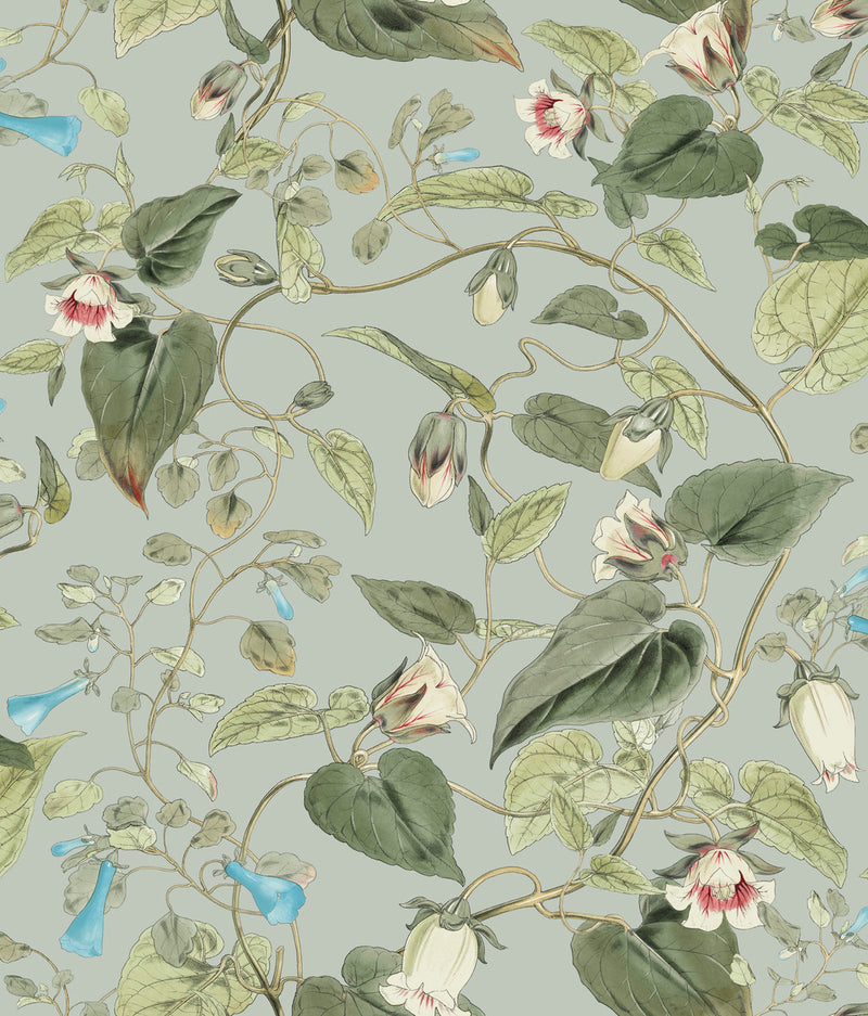 media image for Moon Flower Wallpaper in Dove from the Blooms Second Edition 277