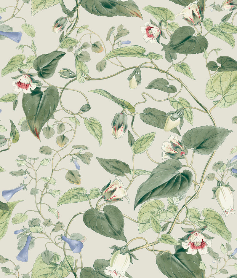 media image for Moon Flower Wallpaper in Light Taupe from the Blooms Second Edition 261