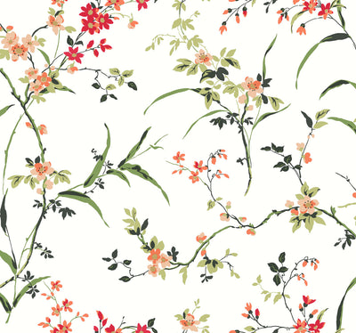 product image of Blossom Branches Wallpaper in White/Red from the Blooms Second Edition 549