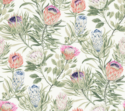 product image of Protea Wallpaper in White/Fuchsia from the Blooms Second Edition 588