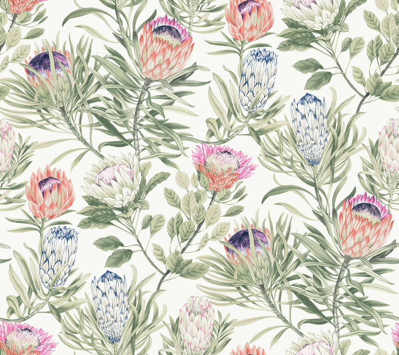 media image for Protea Wallpaper in White/Fuchsia from the Blooms Second Edition 245