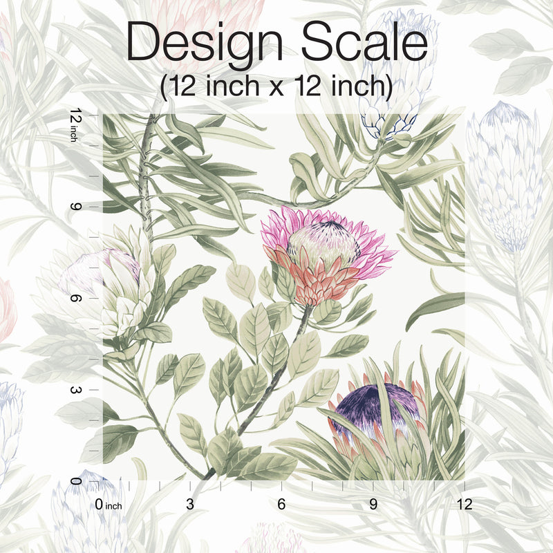 media image for Protea Wallpaper in White/Fuchsia from the Blooms Second Edition 243