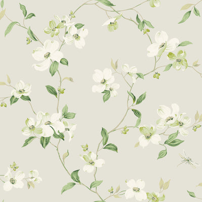 product image for Dogwood Wallpaper in Light Grey from the Blooms Second Edition 65