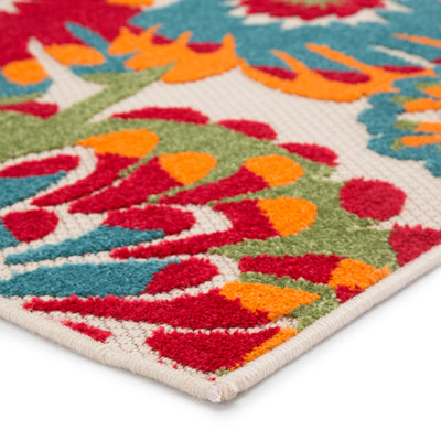 product image for Balfour Indoor/ Outdoor Floral Multicolor Area Rug 67