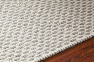 product image for bristol grey white hand woven flatweave rug by chandra rugs bri35809 576 4 92