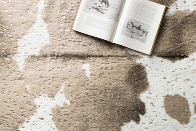 product image for Bryce Rug in Taupe & Champagne design by Loloi 2