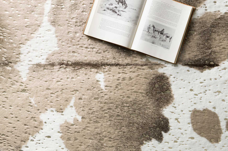 media image for Bryce Rug in Taupe & Champagne design by Loloi 266