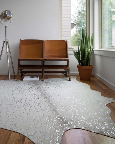 product image for Bryce Rug in Stone & Silver design by Loloi 92