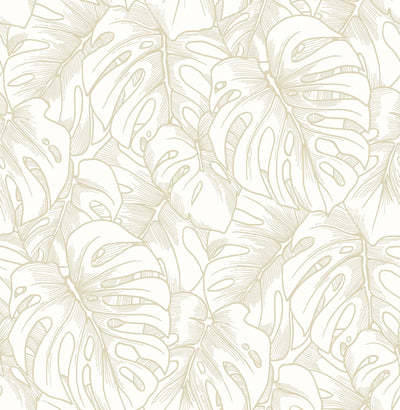 product image for Botanical Wallpaper in Gold from the Scott Living Collection by Brewster Home Fashions 87