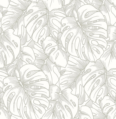 product image of sample balboa botanical wallpaper in silver from the scott living collection by brewster home fashions 1 580