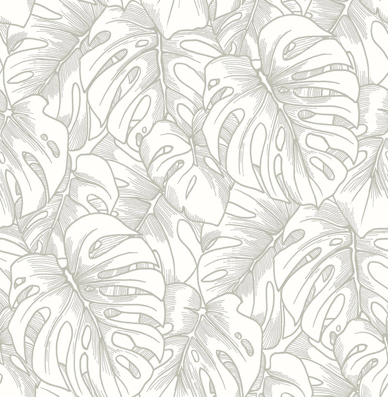 media image for Balboa Botanical Wallpaper in Silver from the Scott Living Collection by Brewster Home Fashions 251