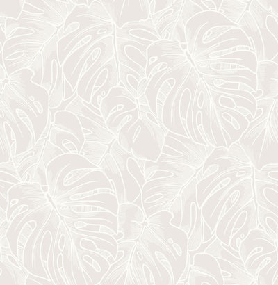 product image of Balboa Botanical Wallpaper in White from the Scott Living Collection by Brewster Home Fashions 551