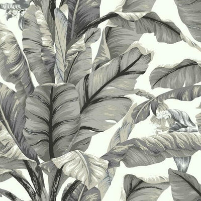 product image of sample banana leaf peel stick wallpaper in white and black by york wallcoverings 1 53