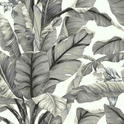 product image of Banana Leaf Peel & Stick Wallpaper in White and Black by York Wallcoverings 555