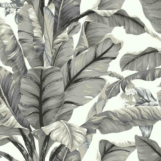 media image for Banana Leaf Peel & Stick Wallpaper in White and Black by York Wallcoverings 247
