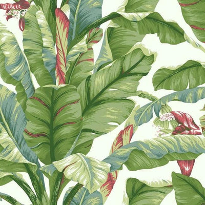 product image of sample banana leaf peel stick wallpaper in white and green by york wallcoverings 1 594
