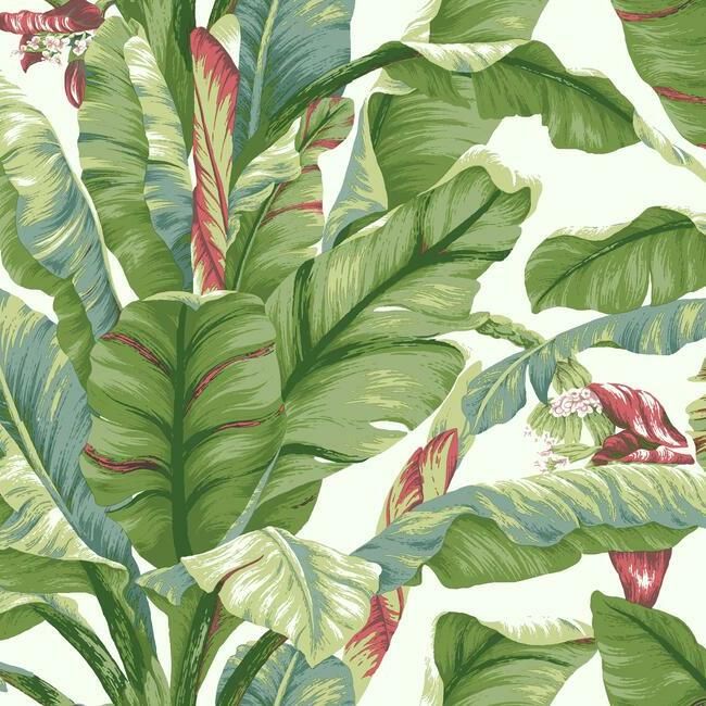 media image for Banana Leaf Peel & Stick Wallpaper in White and Green by York Wallcoverings 262