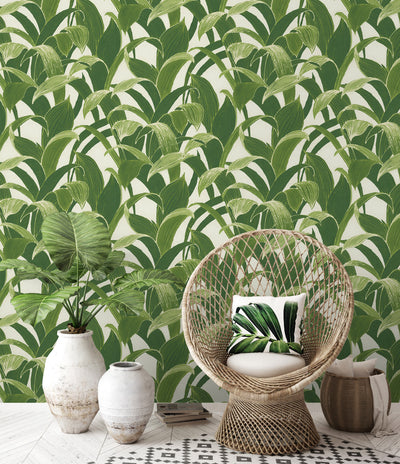 product image for Banana Groves Peel-and-Stick Wallpaper in Green by NextWall 49