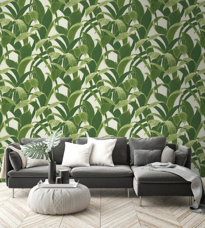product image for Banana Groves Peel-and-Stick Wallpaper in Green by NextWall 2