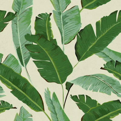 product image of sample banana leaves wallpaper in beige and green from the tropical vibes collection by mind the gap 1 536